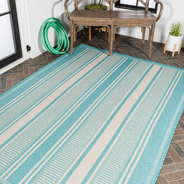 Haynes Modern Double Stripe Indoor/outdoor Area Rug